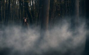 the bell witch tennessee's malevolent spirit - haunting - supernatural chronicles